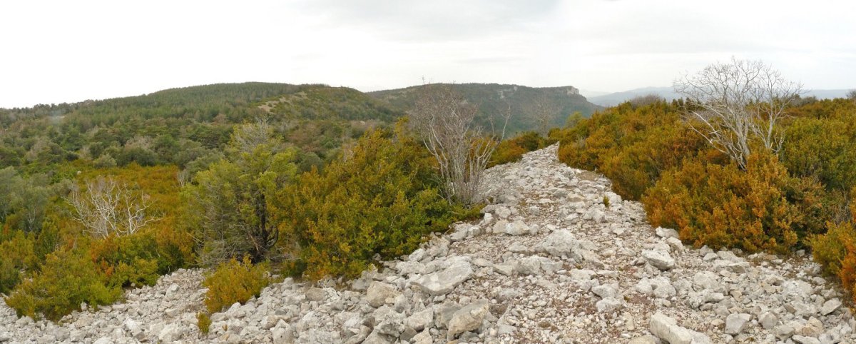 Jeronalesko harresi eroria