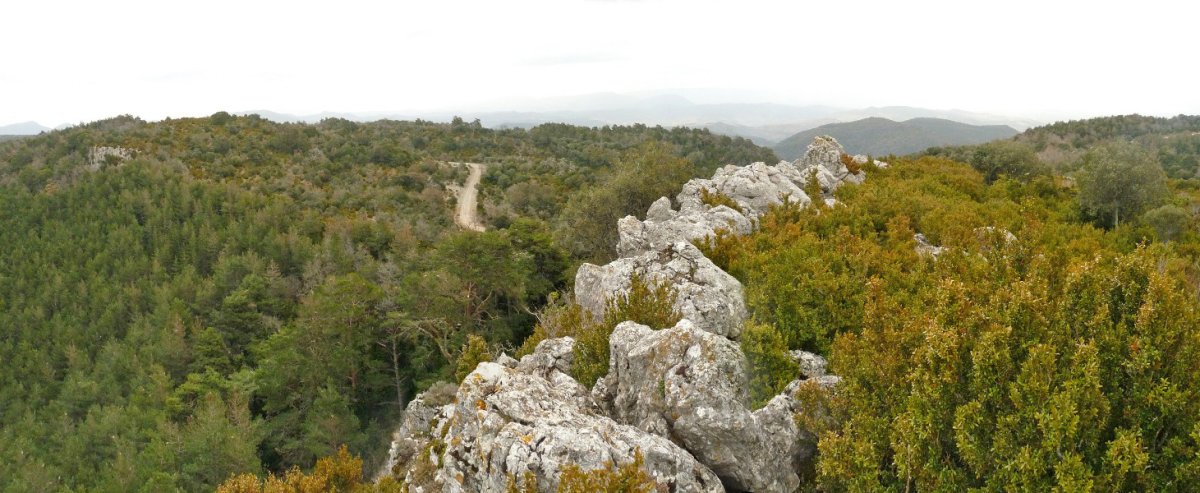 Jeronalesko harresia