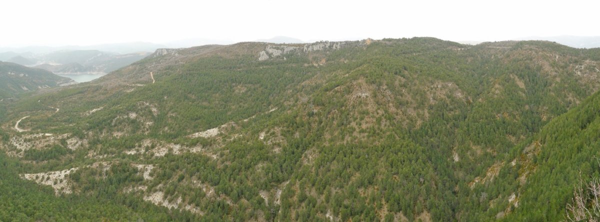 Artxubako mendilerroa