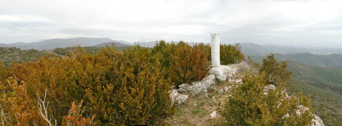 Zarikietako gailurra