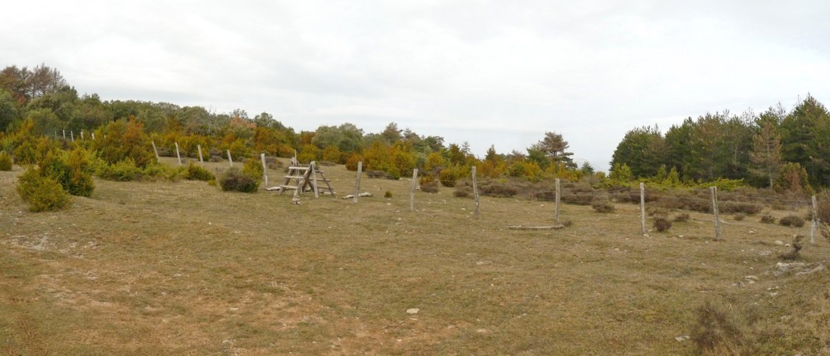 Santa Barbarako harrietara daraman ataka