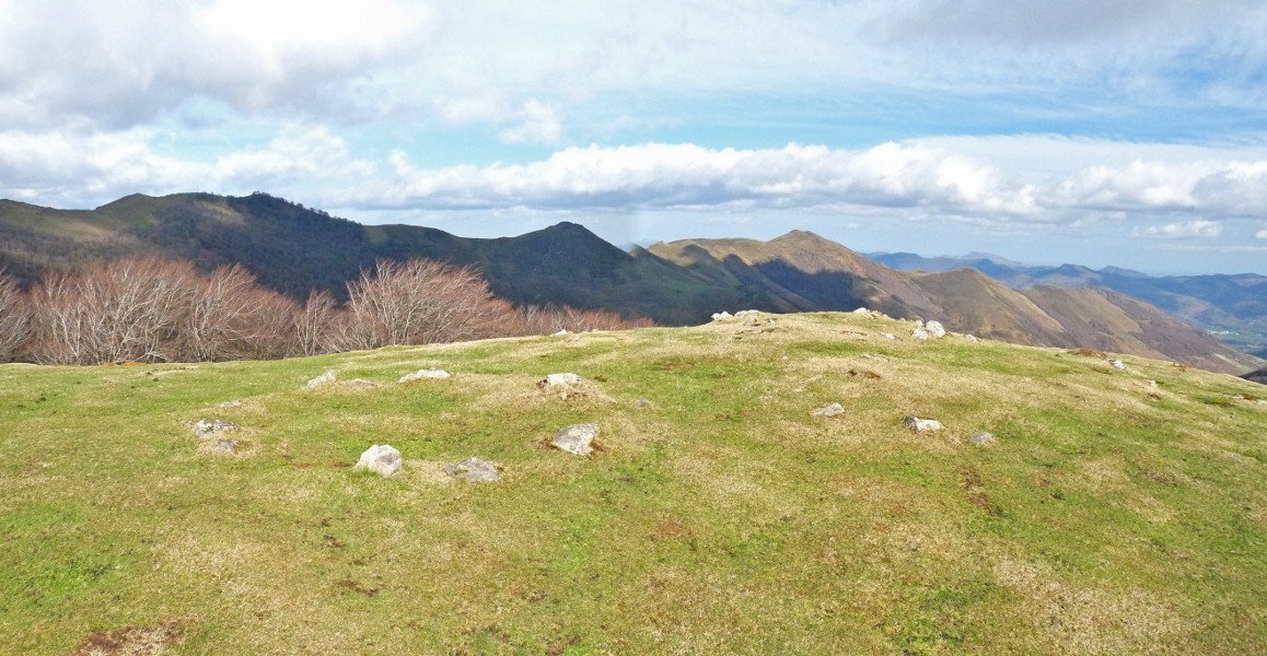 Egurtegiko harrespilak