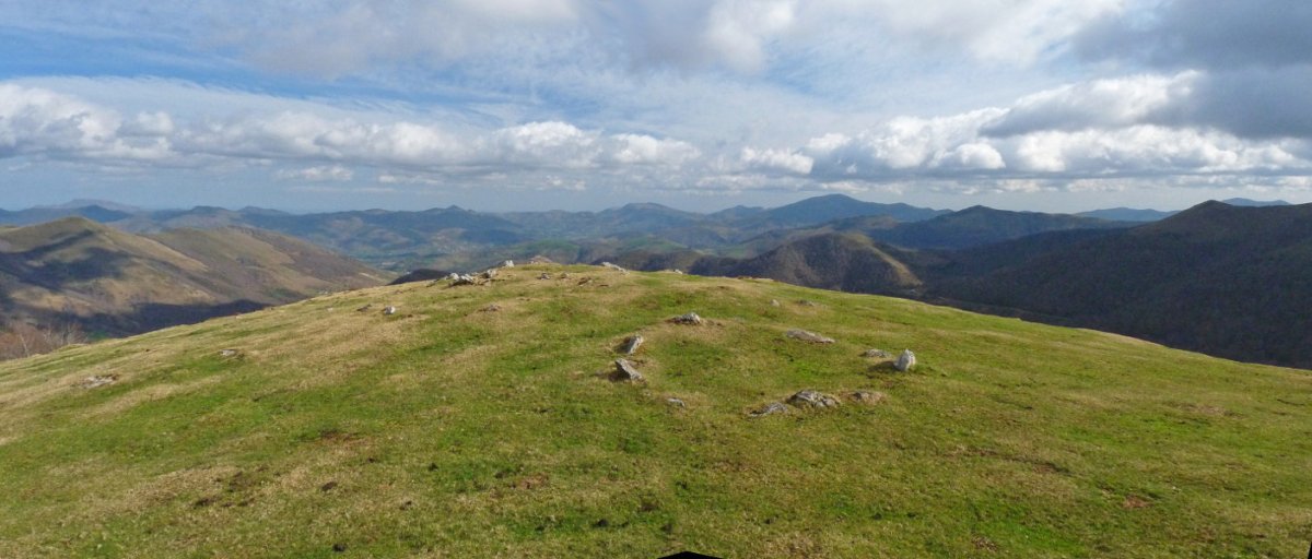 Egurtegiko harrespilak