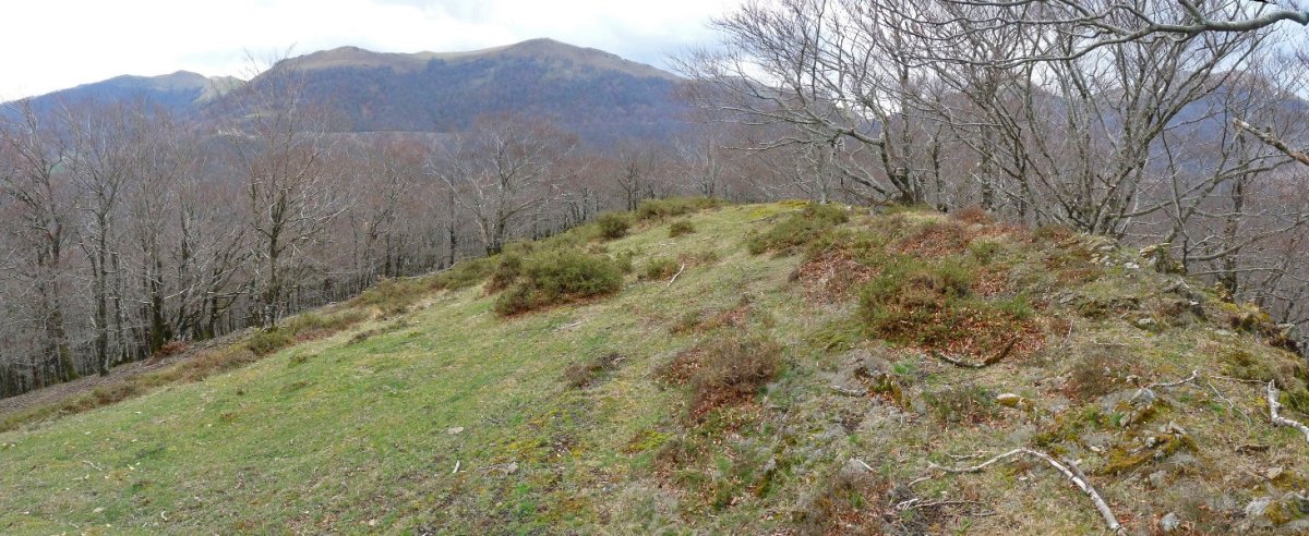 Azkurretako Kaskoa, gailurra