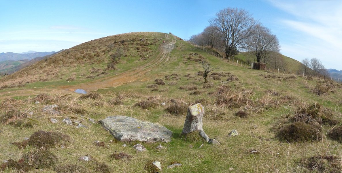 Azaldegiko lepoko trikuharria
