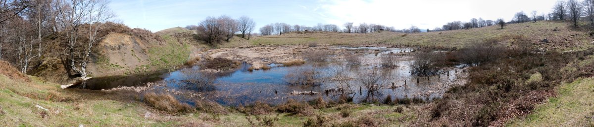 Putzuaren panoramika