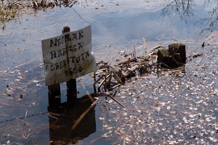 NEGELAK HARTZEA DEBEKATUTA DAGO