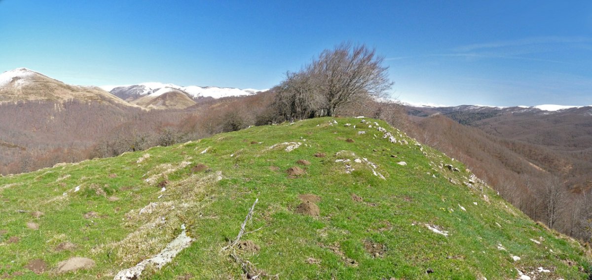 Aritzelatzeko gailurra. Atzean Iratiko oihana eta Abodi