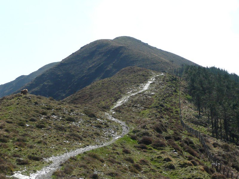 Abadegurutzetik Datorren Bidetik