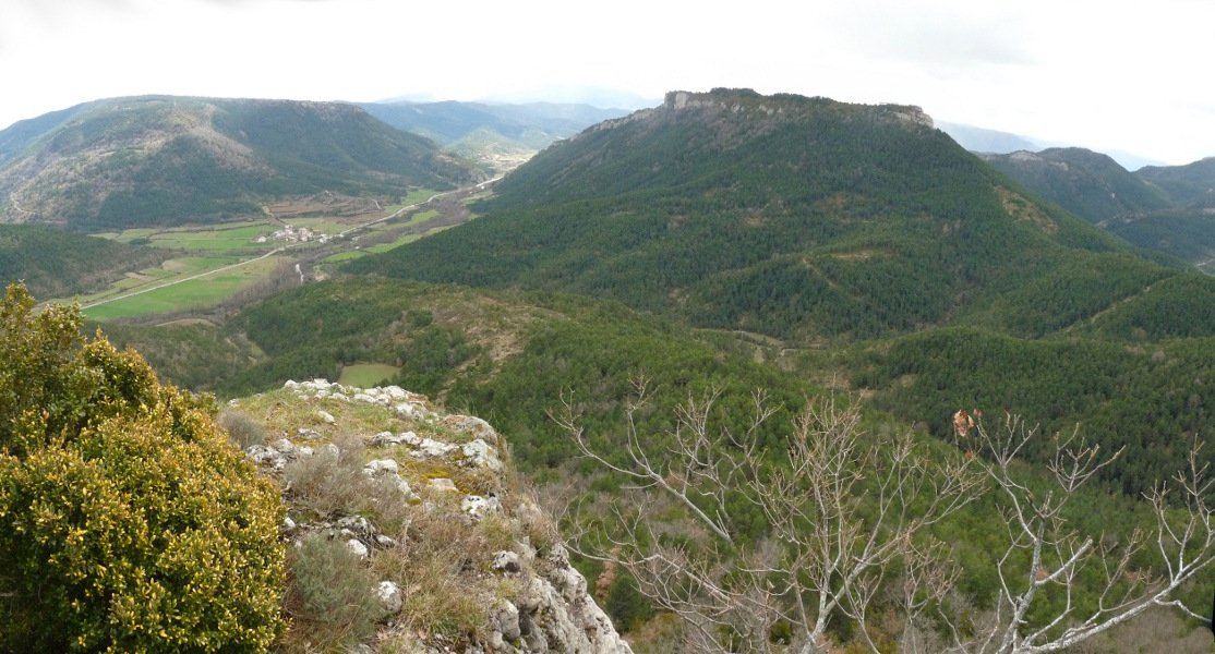 Arazekiko gailurra. Arburua Gorzatik