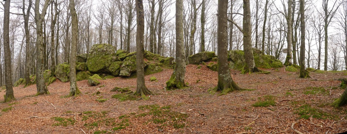 Kipularko gailurreko harriak, pagadiaren baitan