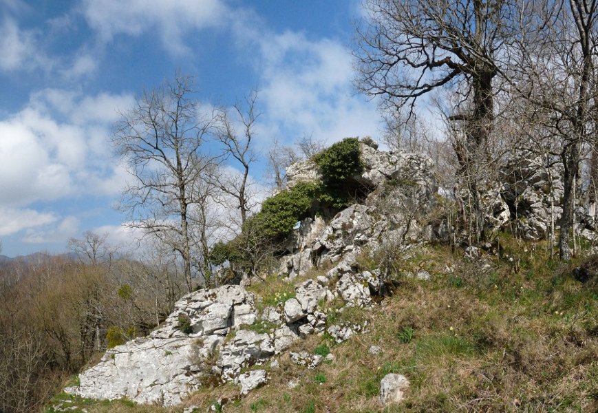 Orobeko Haitzeko gandorra