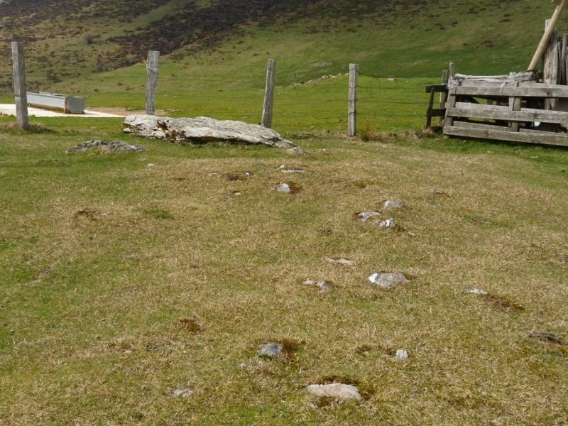 Beraskoain trikuharria