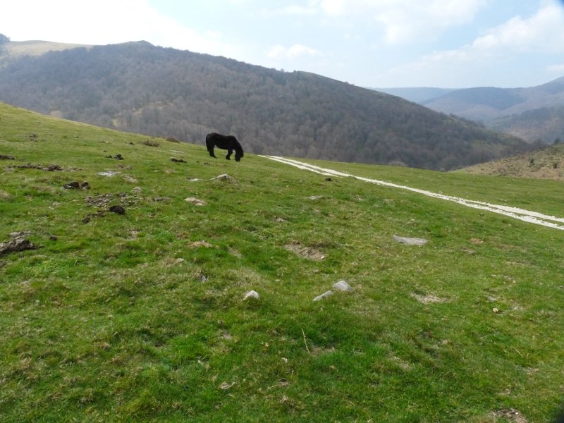 Beraskuaingo harrespiletako bat