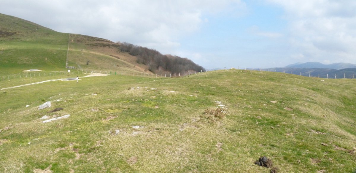 Beraskuaingo harrespiletako bat