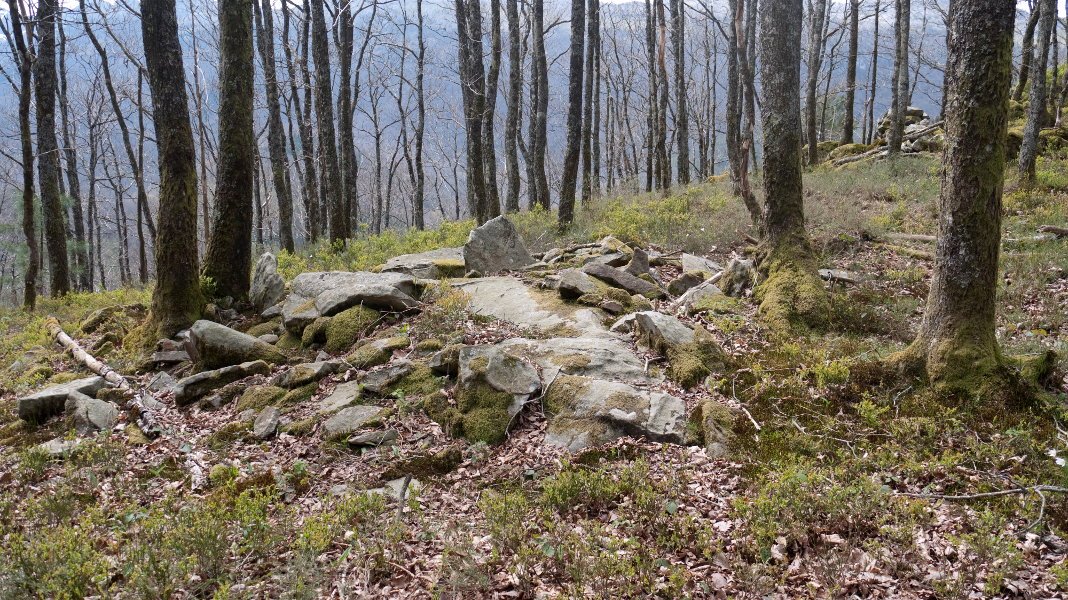 URIETAGAÑA trikuharria