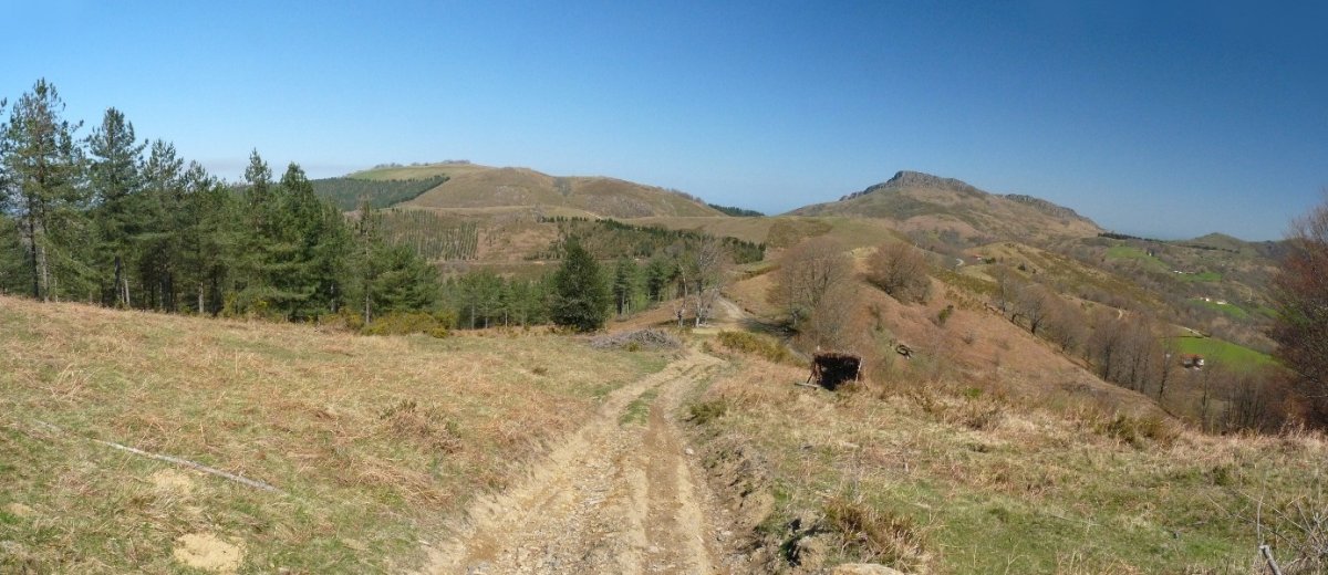 Zentinel eta Atxuria Gorospilgo lepotik