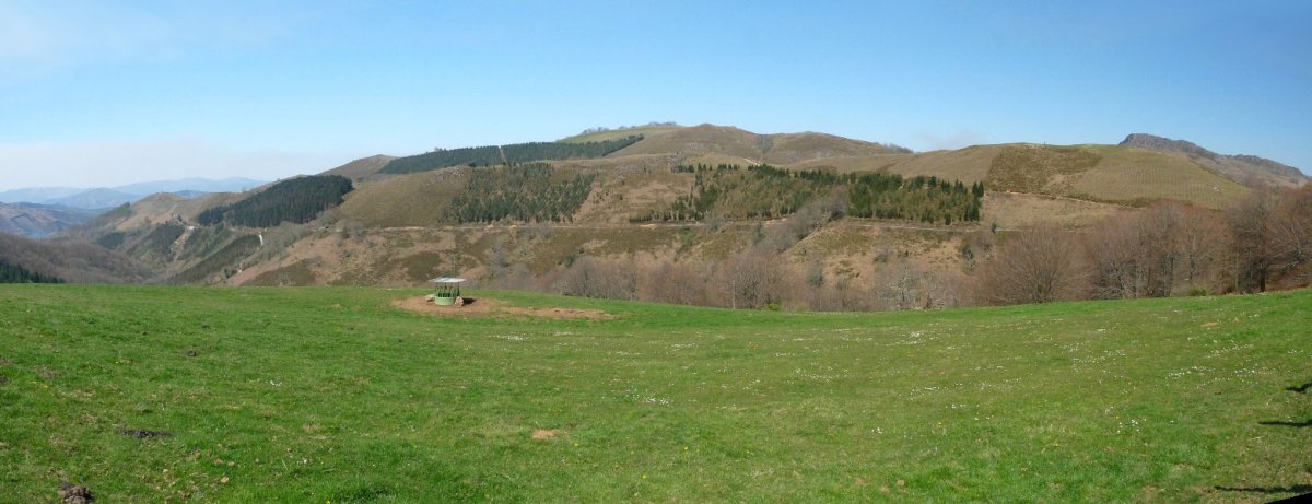 Zentinel Urtsumiatza leporen inguruetatik