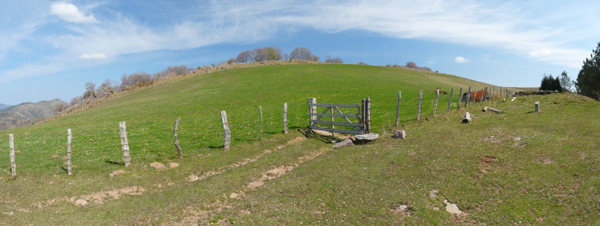 Zentinel Irazako lepoko trikuharritik