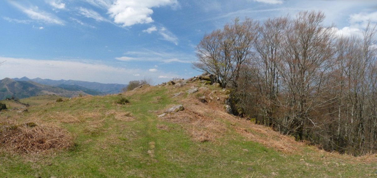 Zentinelako gailurra