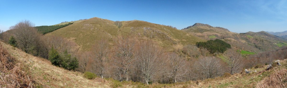 Zentinela eta Atxuria