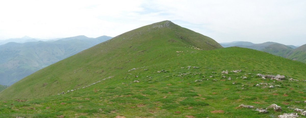 Mendimotxa eta Adartzaren arteko lepoa