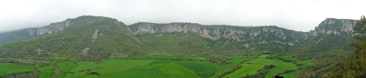 Lokizko malkarrak Biloriako bidetik