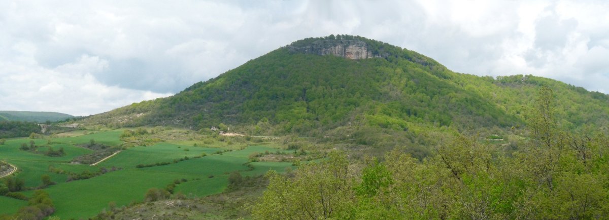 Murube Larraona aldetik