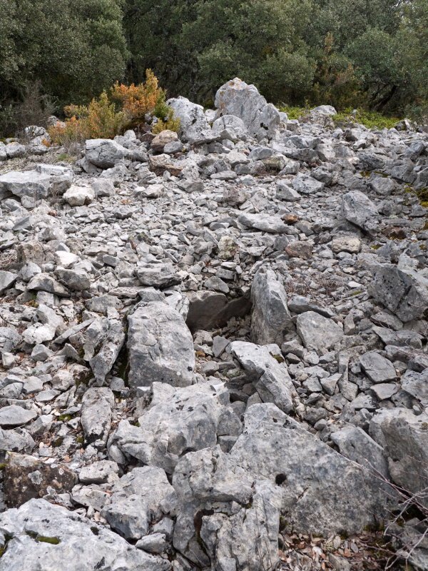 Bi monumentuak plano berean