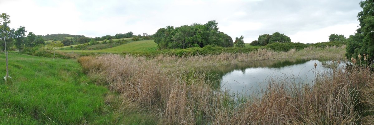 Ur putzua Buskilgo bidean