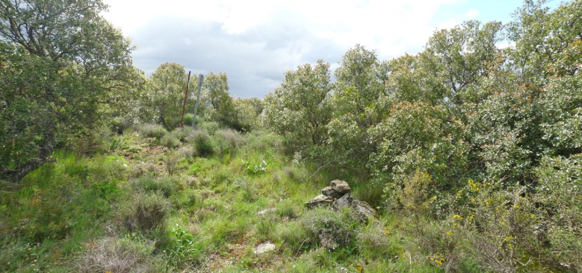 Sarrea-Oihanburu gaineko gailurra 