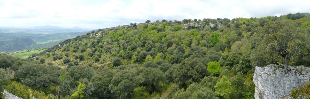 Mugagako bizkarraren hasiera San Martingo harrietatik