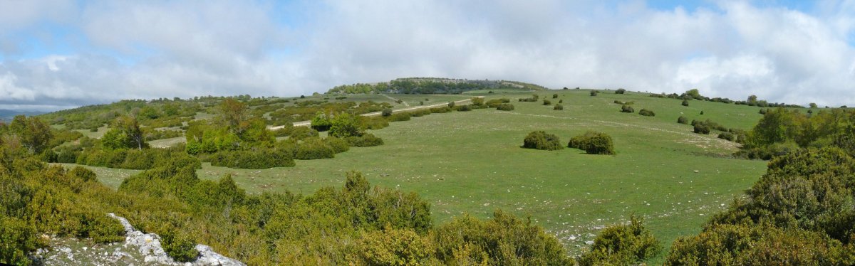 Mugagako malkarrak urrunean