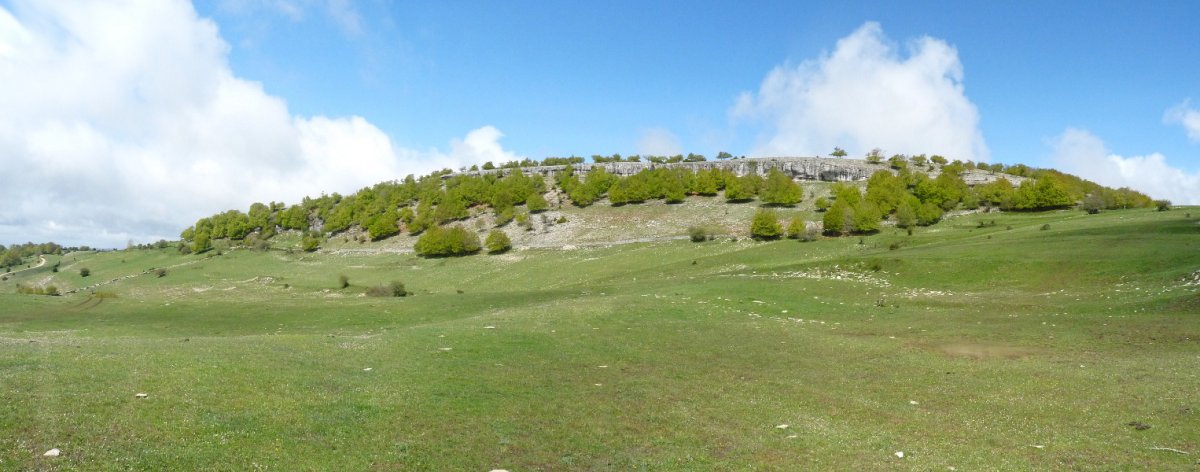 Cerradoko larreak eta Mugaga