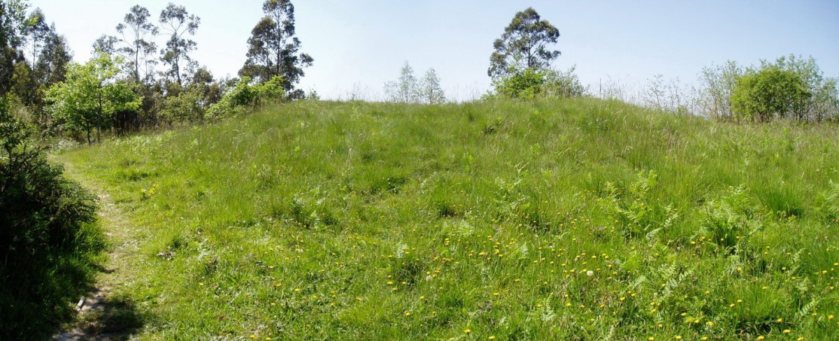 Munarrikolanda 2 trikuharria