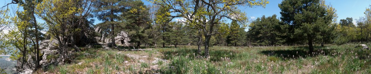 Tontorraren inguruak