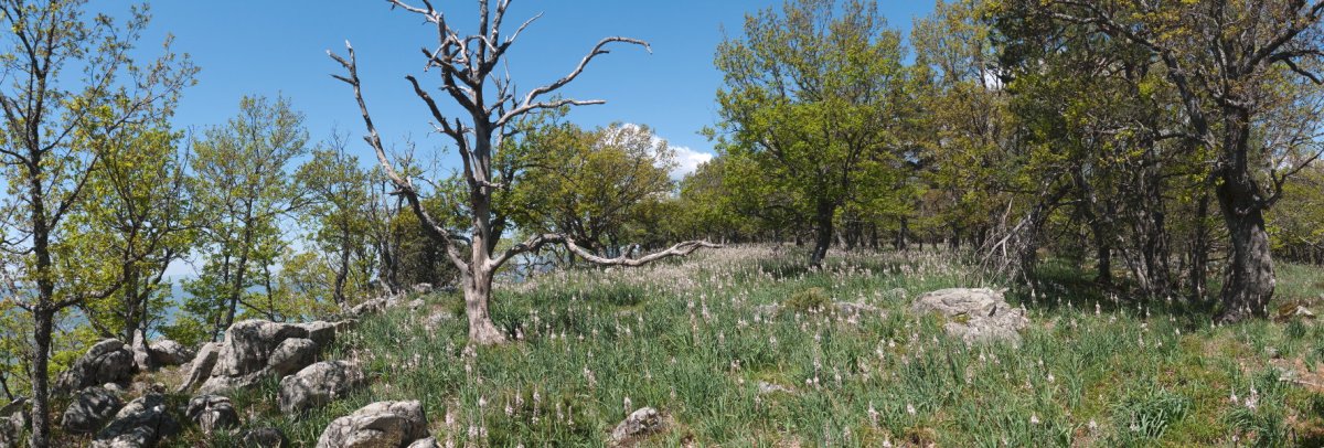 Gainaldeko pasarte bat