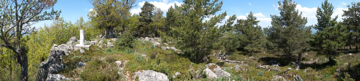 Erpin geodesikoa eta inguruak