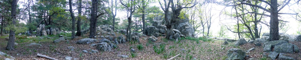 Gainaldeko pasarte bat