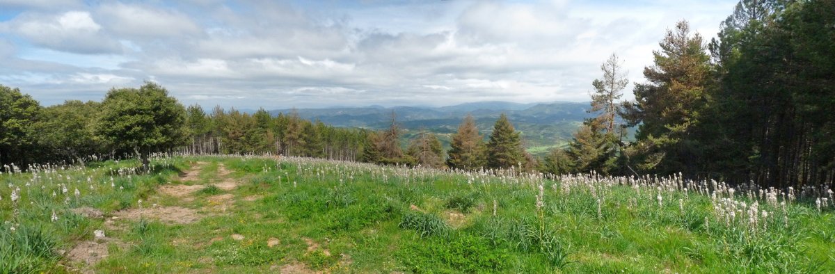 Panoramika erpin geodesikodun gailurretik