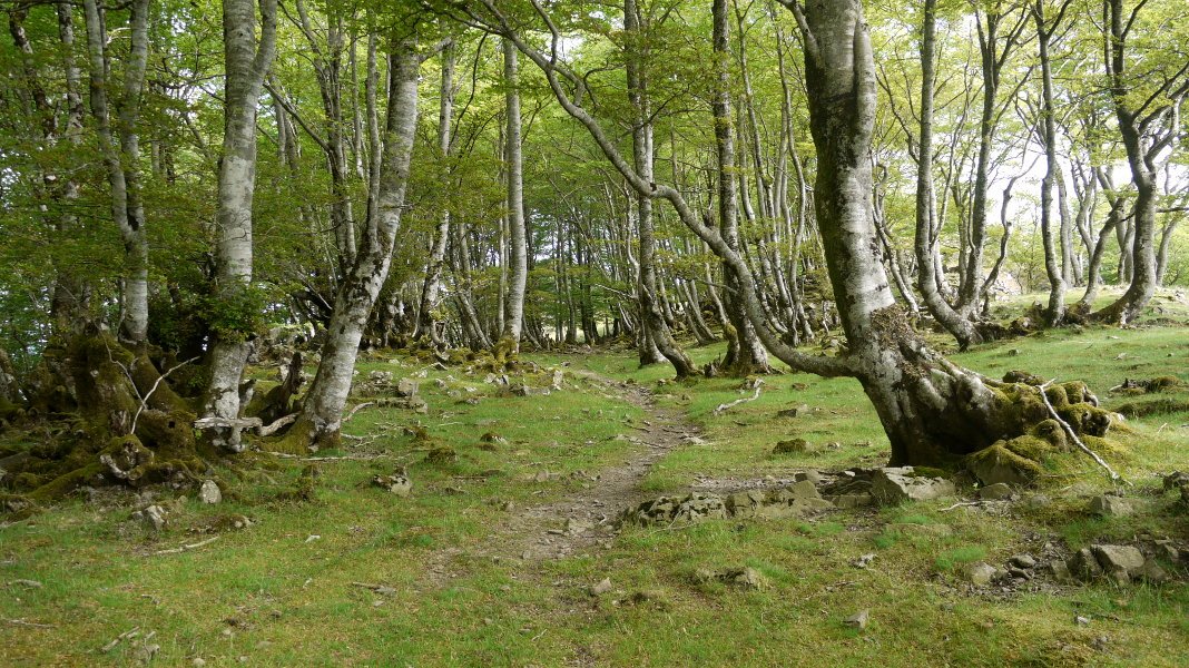 Bizkarreko bidea Baztanibar aldean