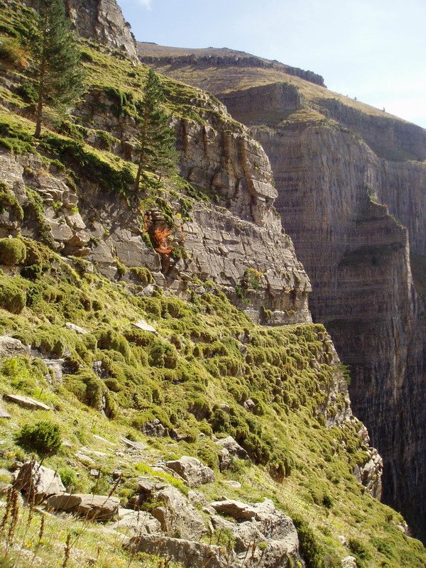 Fajeta erlaitzera bidean