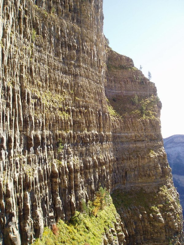 Marboréko kareharria