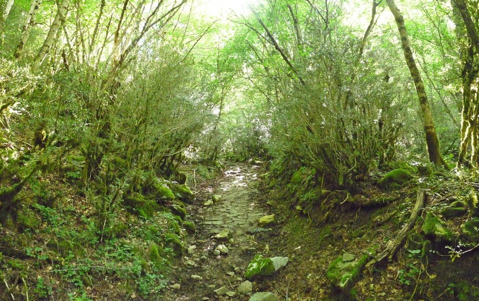 Izaba eta Belabartze arteko bidea