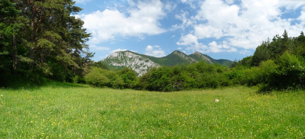 Artekomendiako lepoa, Ardibidegainaren ikuspegiarekin