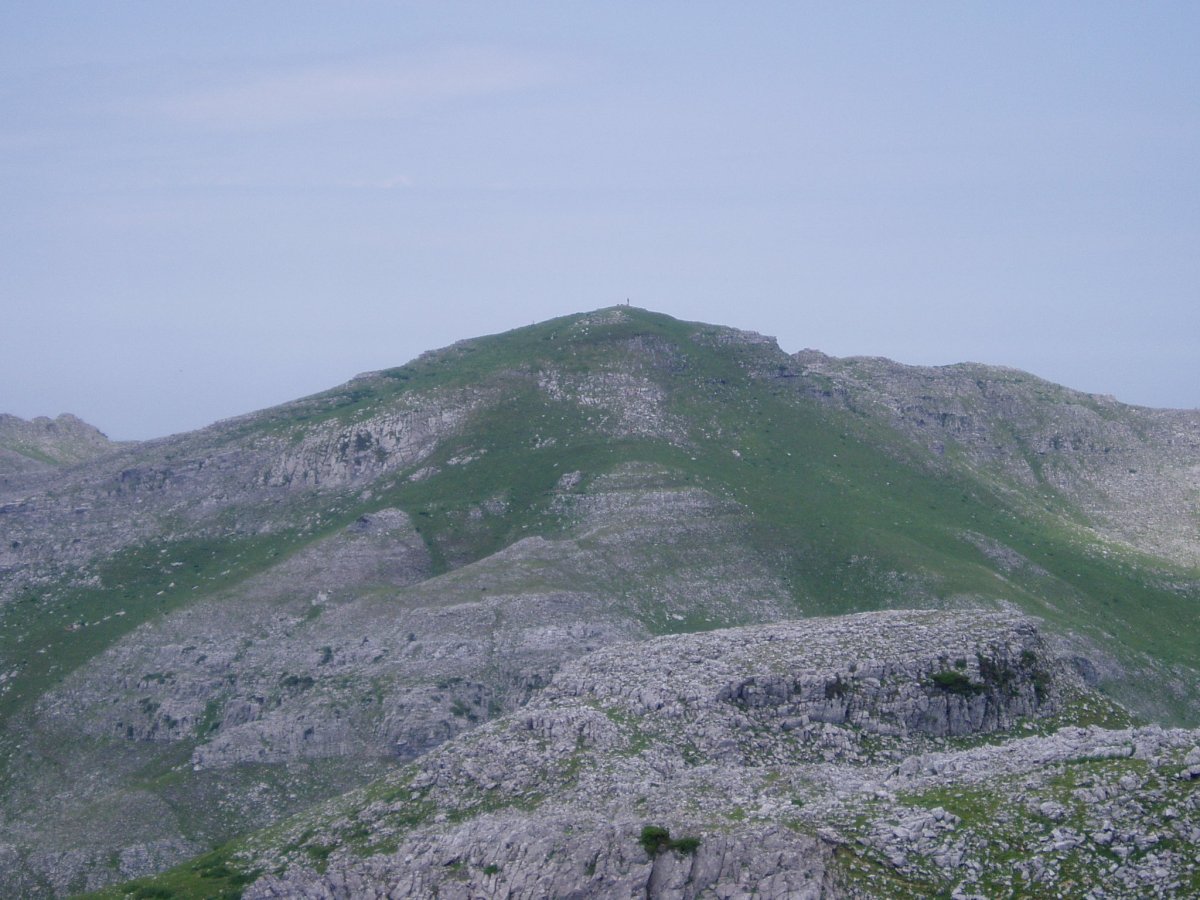 Intzeko dorrea Paradarritik