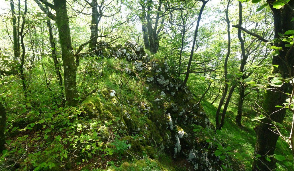 Irumugeta (1079m), basoan galdutako tontorra 