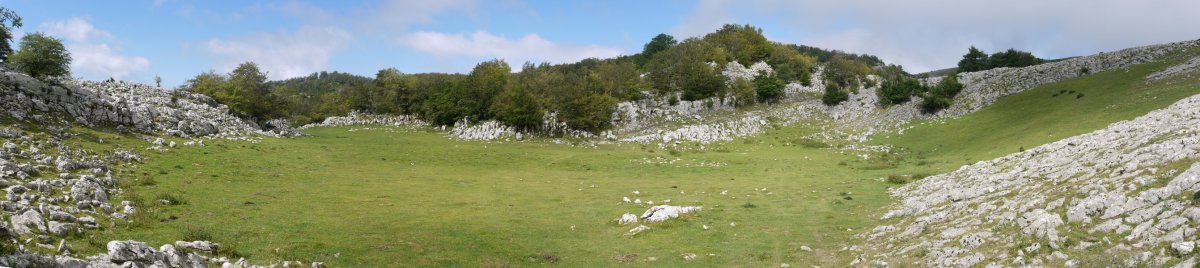 Desamalkor inguruko larre eremu bat