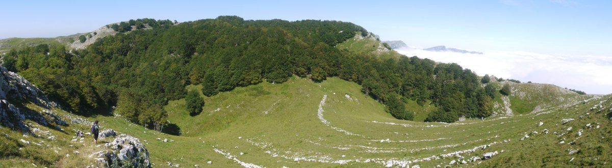 Ekialdeko isurialdea, Ttutturretik aldetik