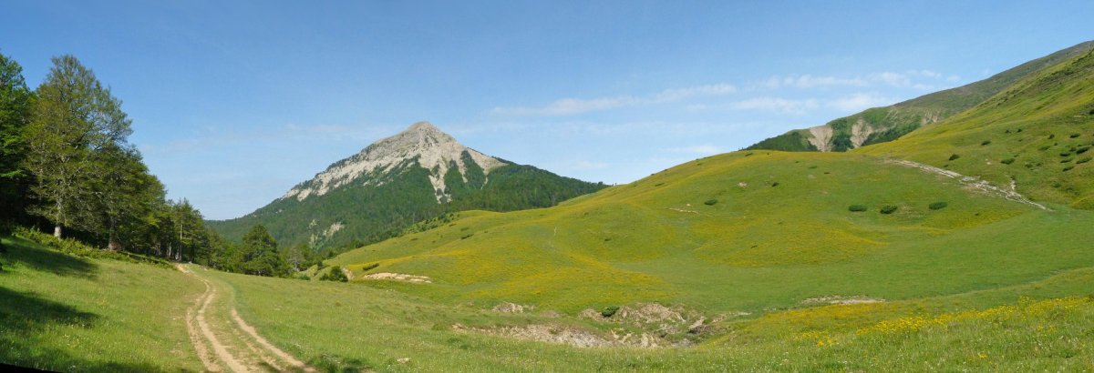 Linzako azken larreak, Txamantxoiaren begiradapean
